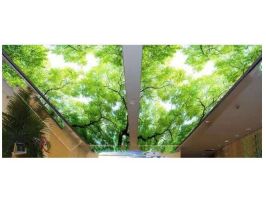 華為總部大廈七樓UV噴繪