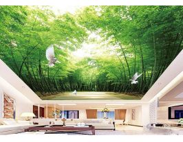 華為-城市-自然......