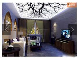 小米深圳旗艦店UV噴繪