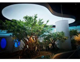 廣州南沙規劃館A級防火膜